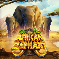 Laro ng slot na African Elephant sa PH365