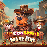 Laro ng slot na The Dog House – Dog or Alive sa PH365