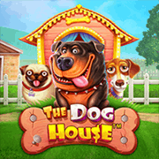 Laro ng slot na The Dog House sa PH365