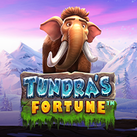 Laro ng slot na Tundra’s Fortune sa PH365