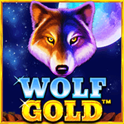 Laro ng slot na Wolf Gold sa PH365