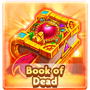 Laro ng slot na Book of Dead sa PH365